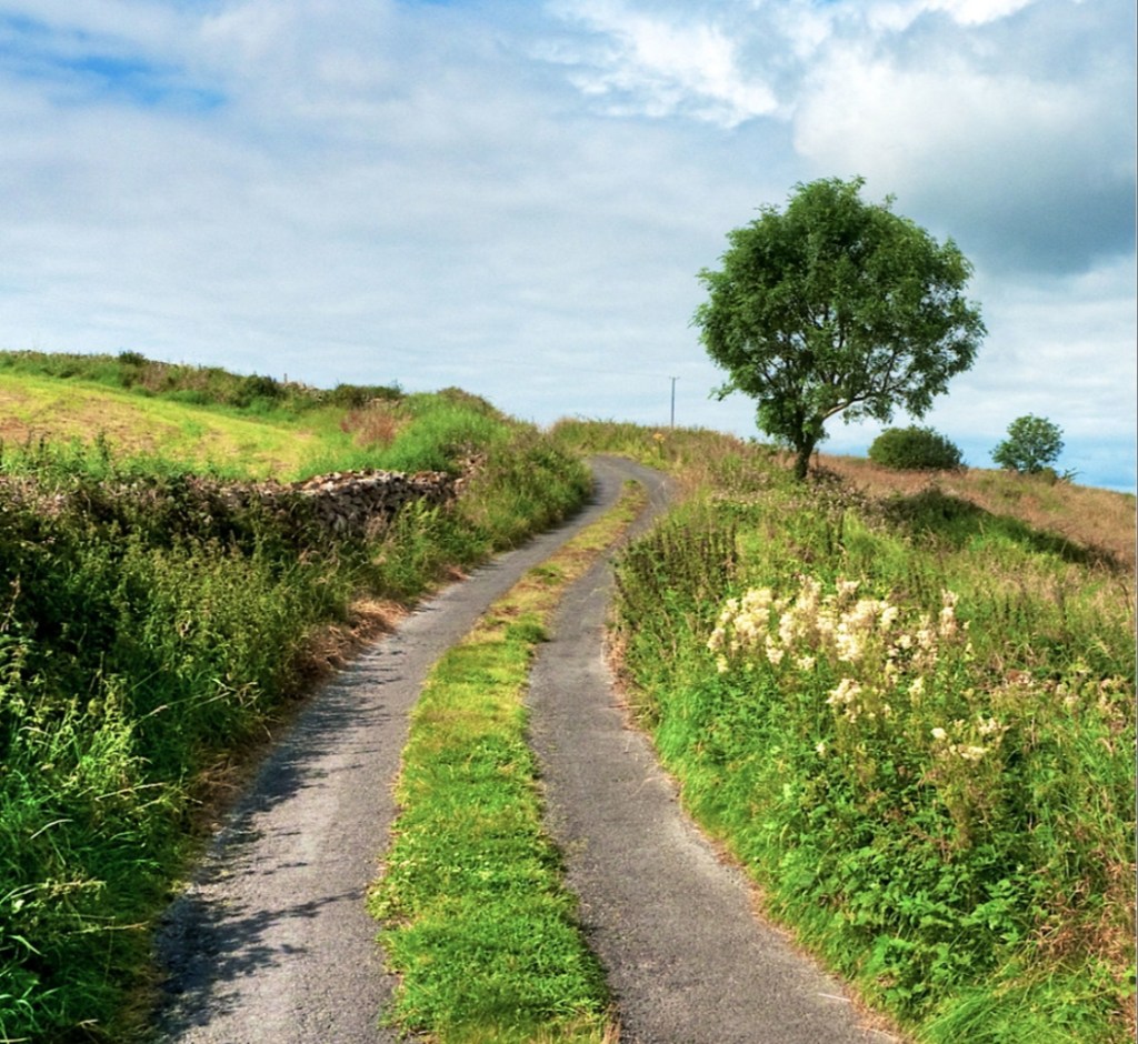 The Culchie Spectrum: A Definitive&nbsp;Guide